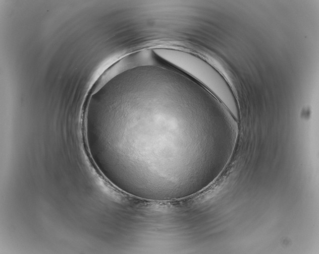X0000090771050200708101806
