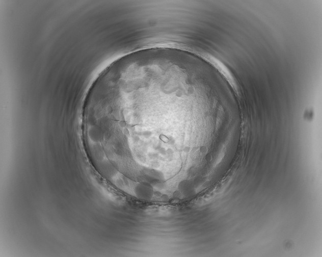 X0000090771051200708101806
