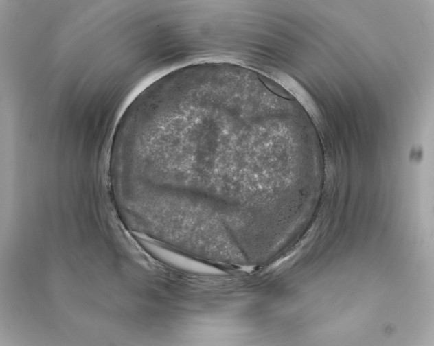 X0000090771052200708101806