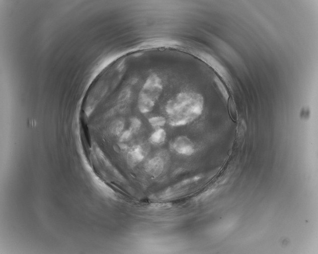 X0000090771055200708101806