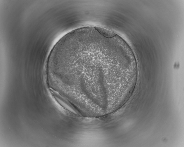 X0000090771056200708101806