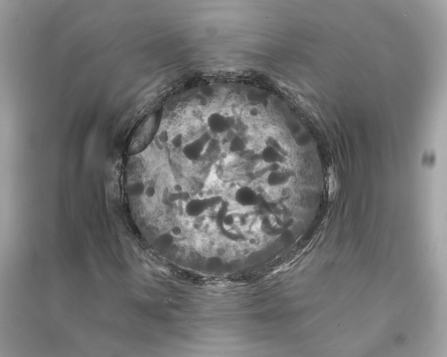X0000090771059200708101805