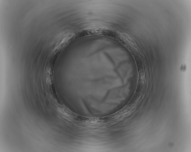 X0000090771060200708101805