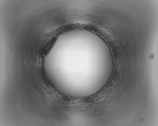 X0000090771061200708101805