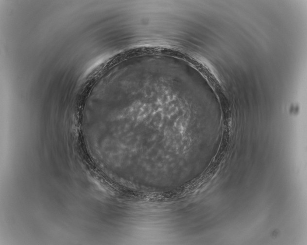 X0000090771064200708101805