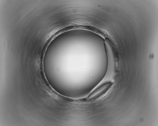 X0000090771065200708101805