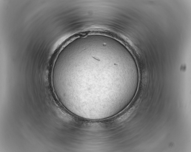 X0000090771066200708101805