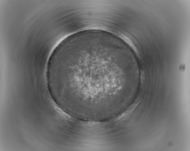 X0000090771068200708101805