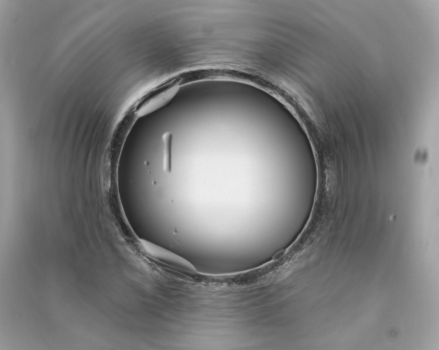 X0000090771069200708101805