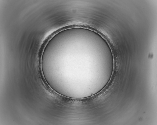 X0000090771070200708101805