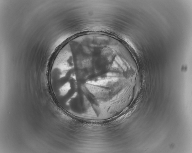 X0000090771071200708101805