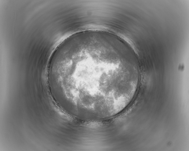 X0000090771074200708101805