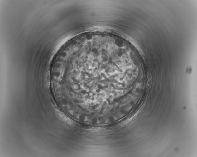 X0000090771075200708101805