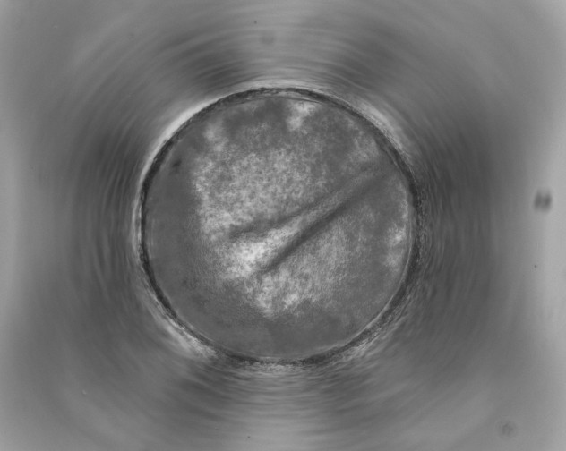X0000090771076200708101805