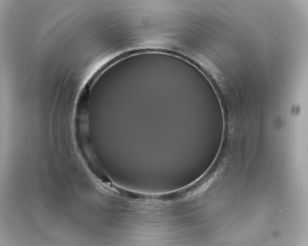 X0000090771077200708101805