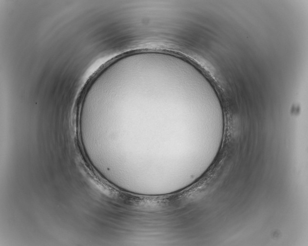 X0000090771078200708101805