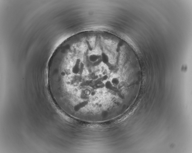 X0000090771079200708101805