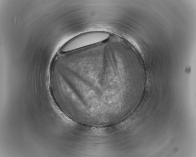 X0000090771080200708101805