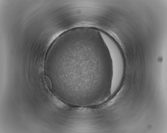 X0000090771081200708101805