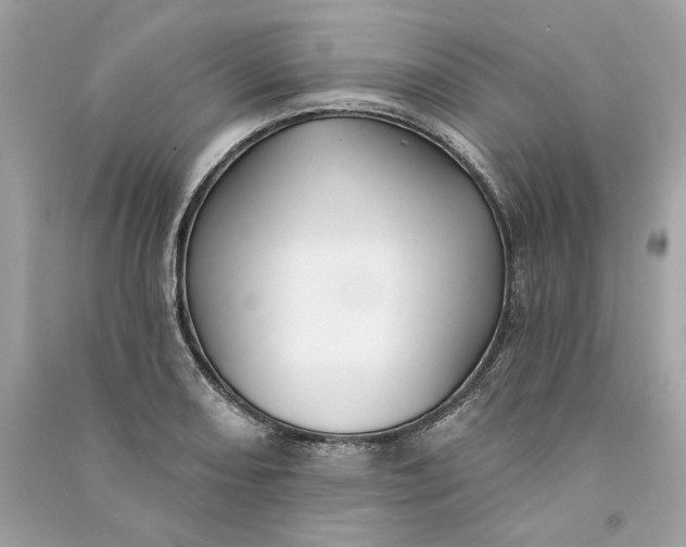 X0000090771082200708101805