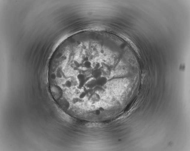 X0000090771083200708101805