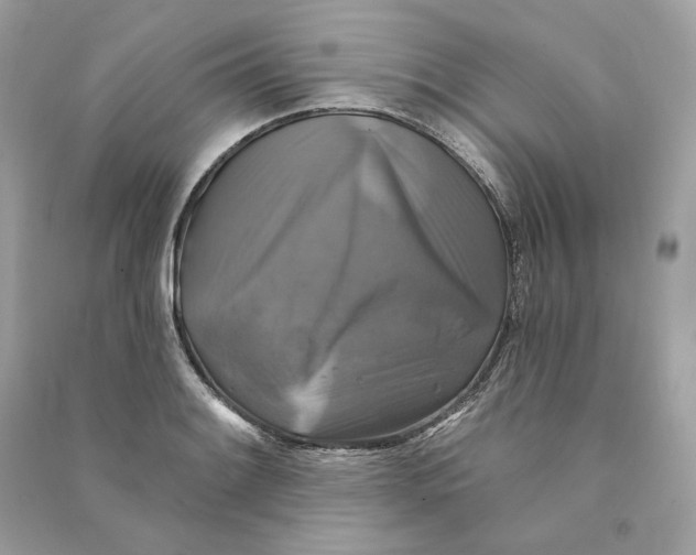 X0000090771084200708101805