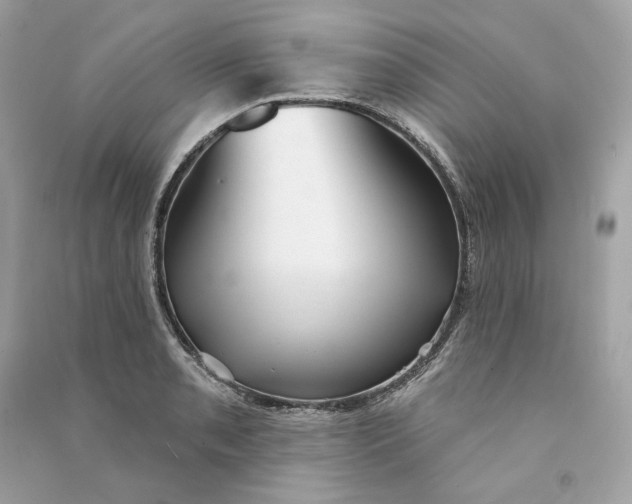 X0000090771085200708101805