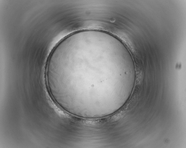 X0000090771086200708101805