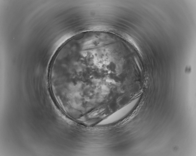 X0000090771087200708101805