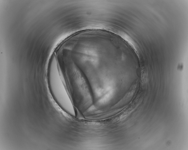 X0000090771088200708101805
