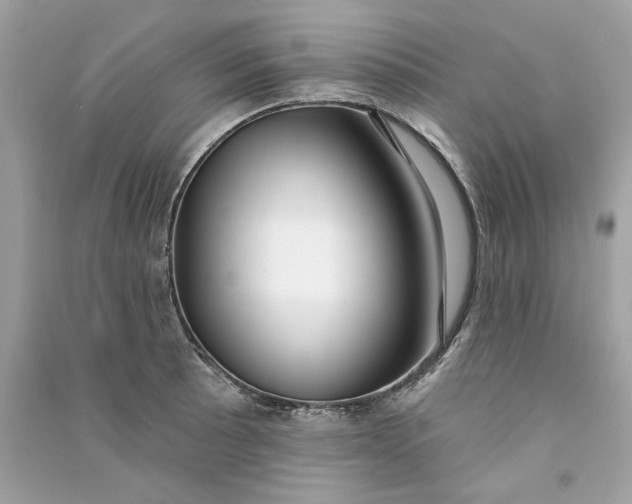 X0000090771089200708101805