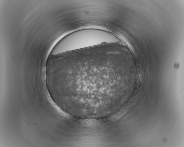 X0000090771092200708101805