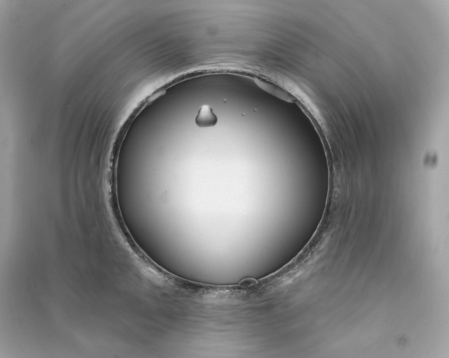 X0000090771093200708101805