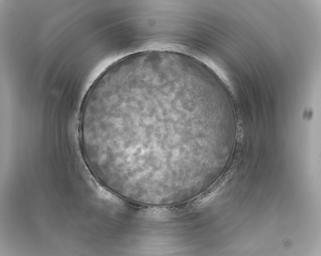 X0000090771094200708101805
