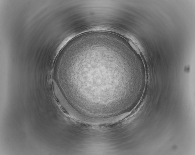 X0000090771097200708101805