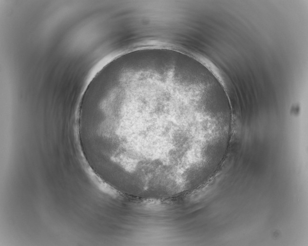X0000090771098200708101805
