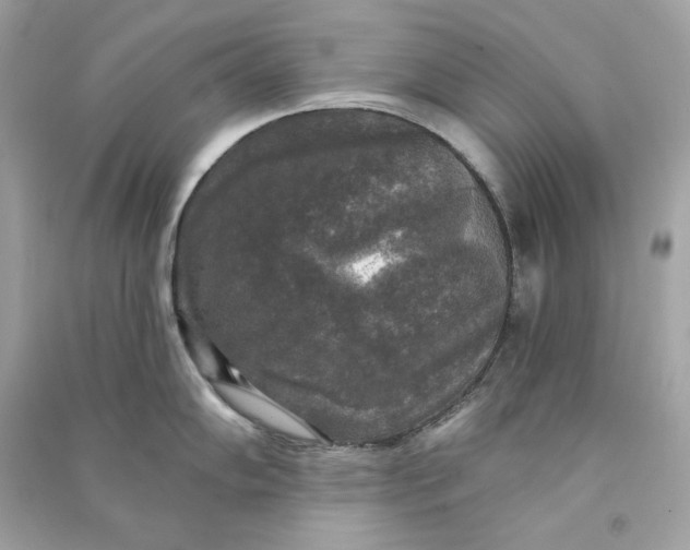 X0000090771102200708101804