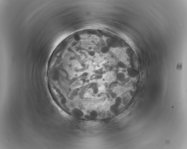 X0000090771103200708101804