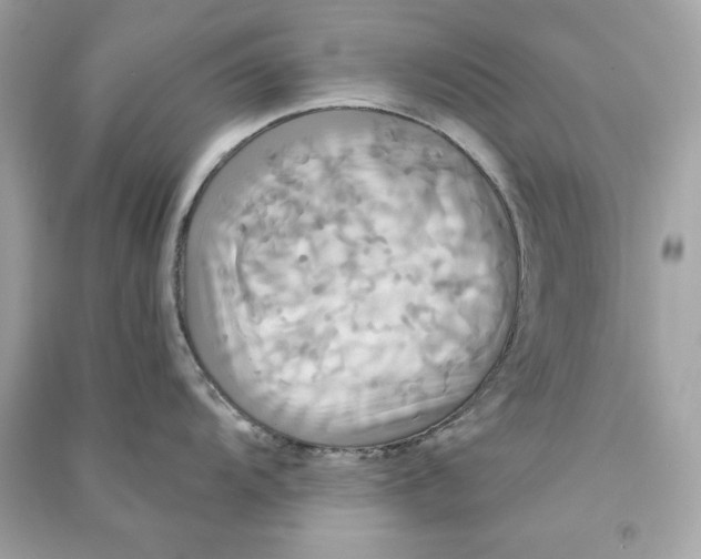 X0000090771104200708101804