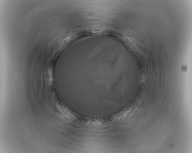 X0000090771106200708101804