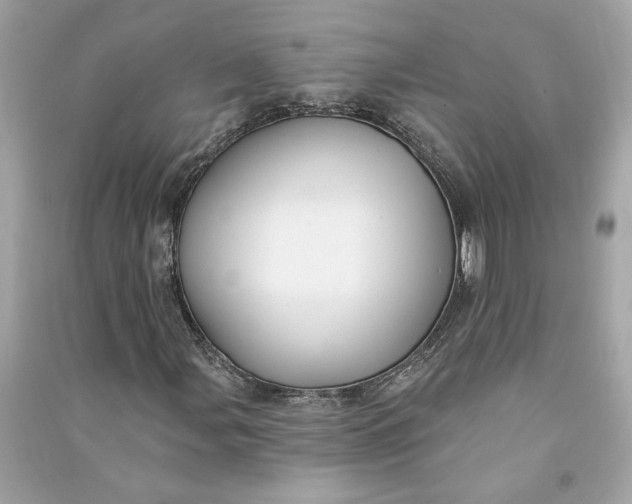 X0000090771107200708101804