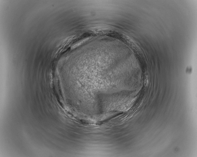 X0000090771108200708101804