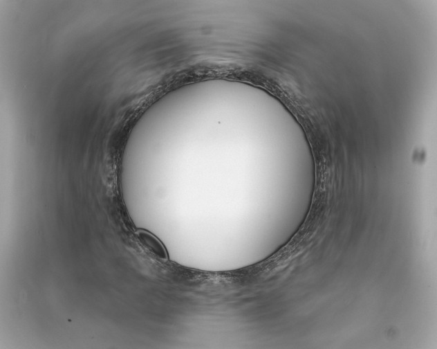 X0000090771109200708101804
