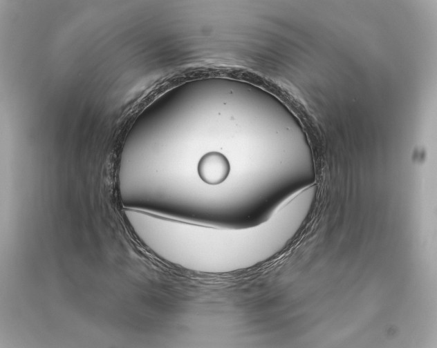 X0000090771110200708101804