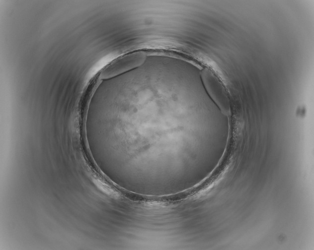 X0000090771114200708101804