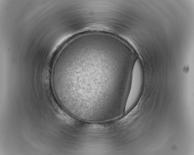 X0000090771115200708101804