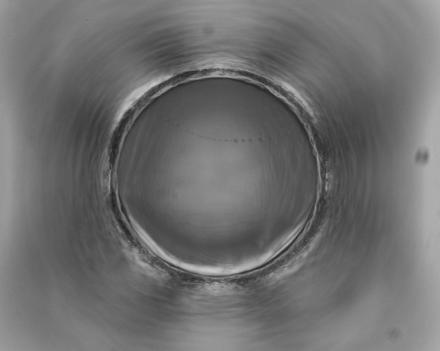 X0000090771117200708101804
