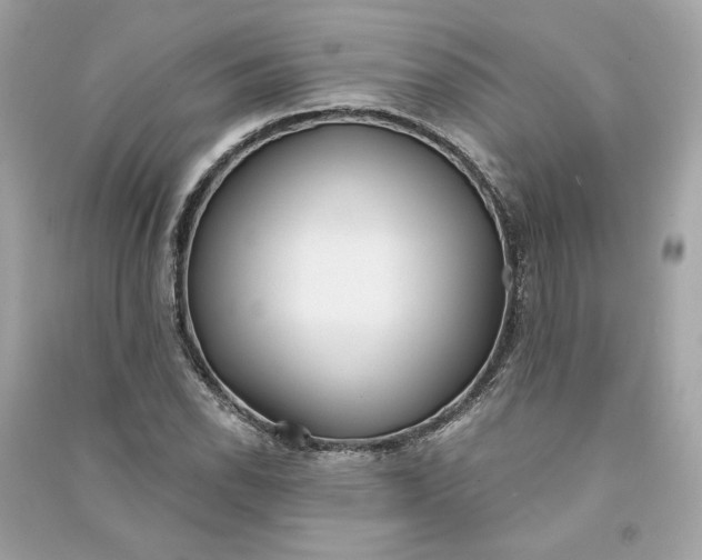 X0000090771118200708101804