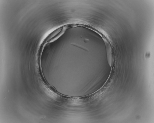 X0000090771120200708101804