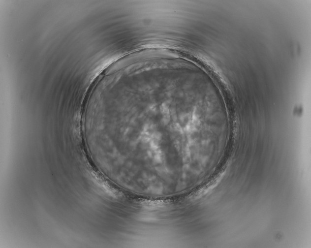 X0000090771121200708101804